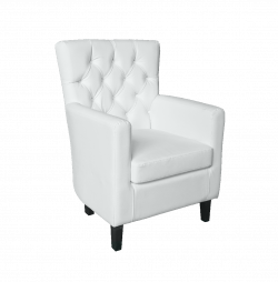 Aristocrat Armchair Lounge Seating Rentals in Dubai